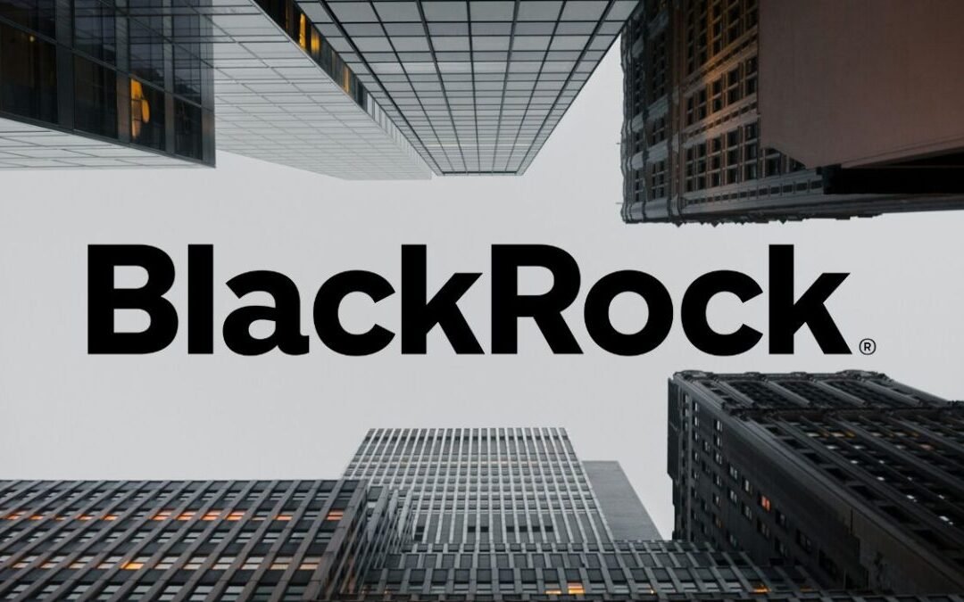 BlackRock, el mayor gestor de activos del mundo, apuesta por la renta variable impulsada por la IA